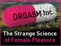 Orgasm Inc. 120x90 Banner